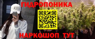 винт Камышлов