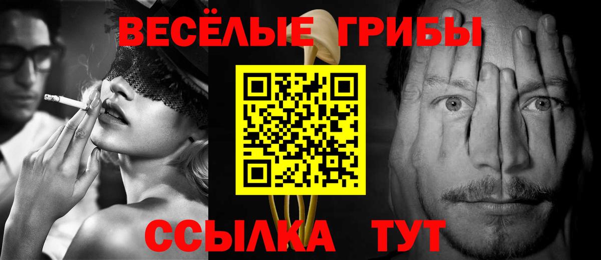 как найти закладки  Псилоцибиновые грибы Magic Shrooms  Вход с VPN  Кудрово 