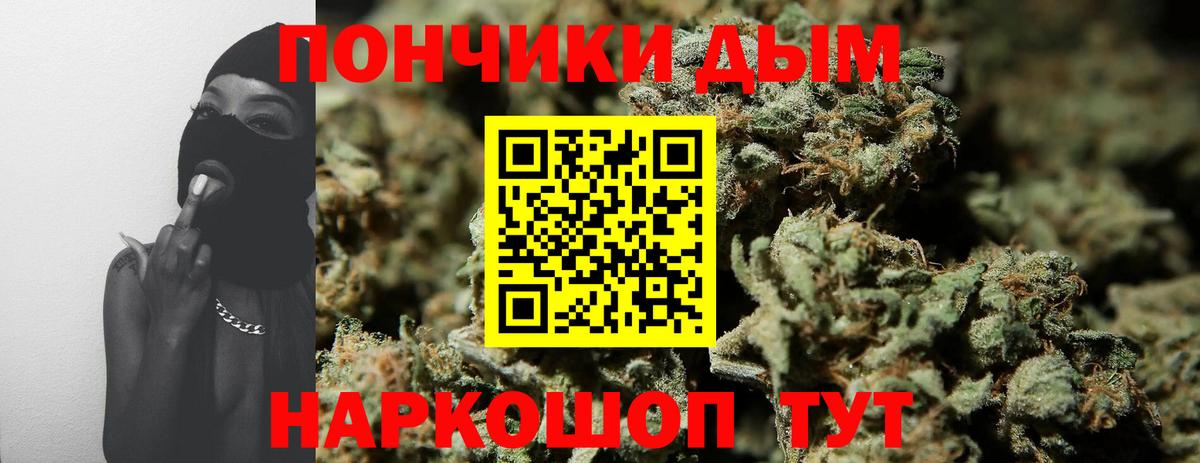 Конопля AK-47  Бошки марихуана марихуана  Бошки Шишки планчик  Кудрово  Вход с VPN  Шишки марихуана гибрид 
